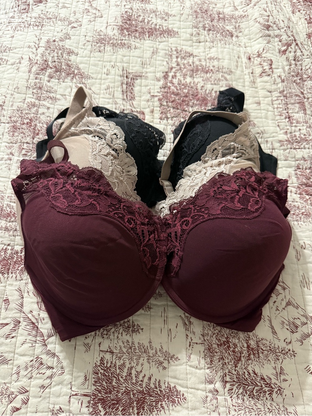 Bali Lace Trim Push-Up Bra Trio in Burgundy, Black & Nude